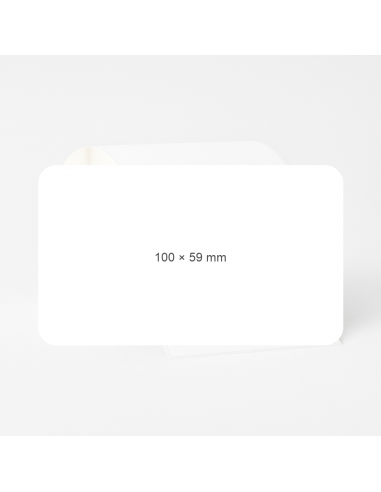 Adhesive labels Vellum 100 x 59,6mm...