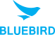 Bluebird